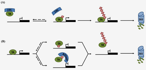 Furniss et al (2015) FiPS